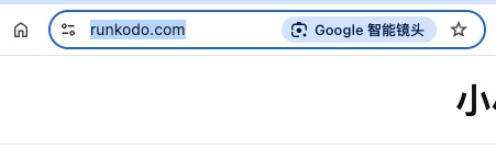 Google 智能镜头