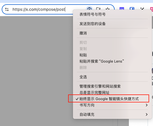 右键关闭 Google 智能镜头